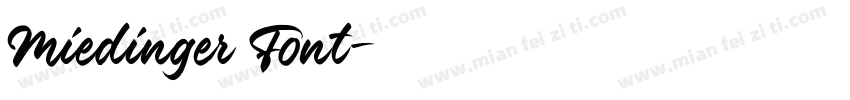Miedinger Font字体转换